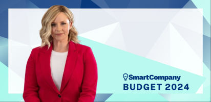 small business budget smes